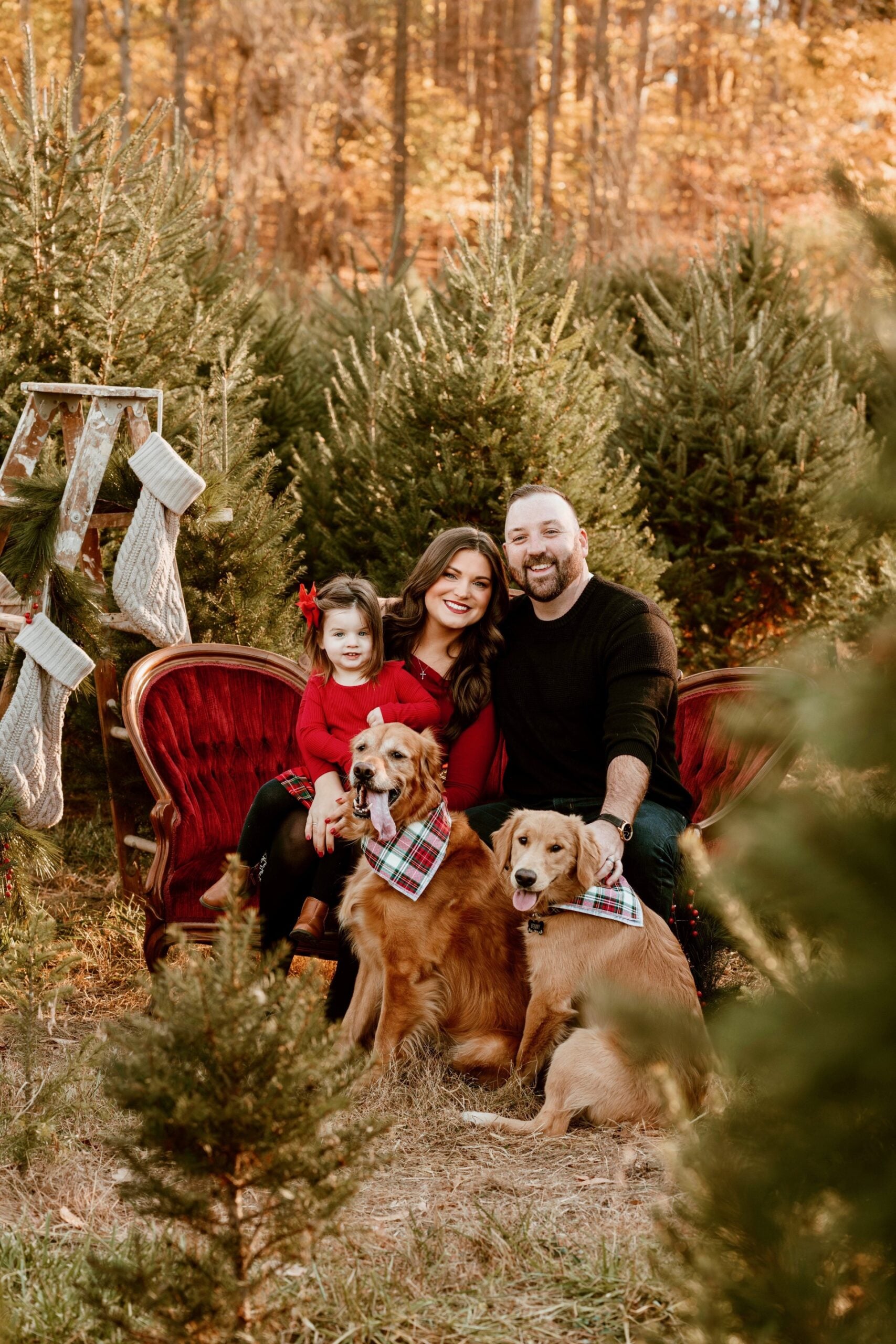A family of three with two golden retrievers sits on a red vintage sofa outdoors among evergreen trees, dressed in coordinated holiday outfits. Christmas stockings hang from a ladder nearby.